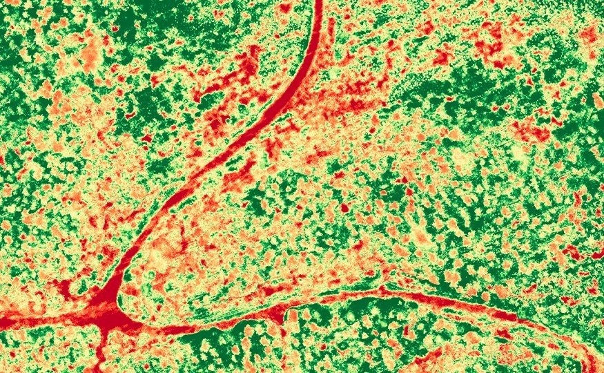 Câmera <br><strong>Multiespectral</strong>